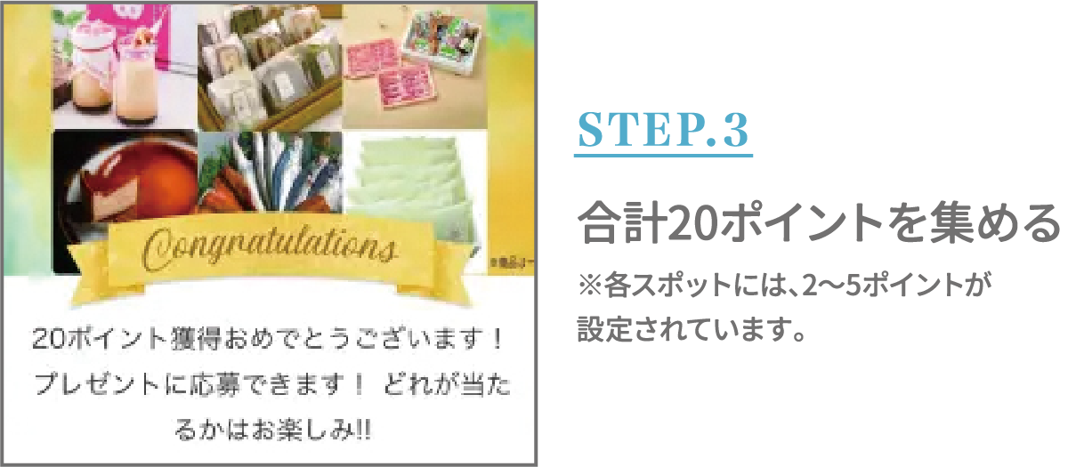 STEP.3 合計20ポイントを集める※各スポットには、2〜5ポイントが設定されています。