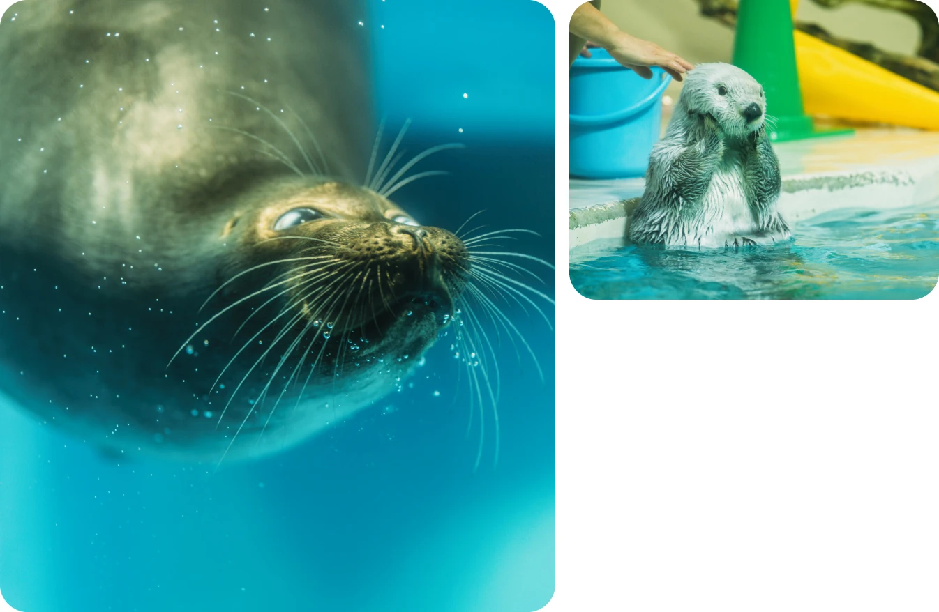 鳥羽水族館の写真