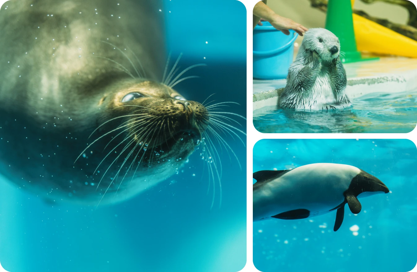 鳥羽水族館の写真