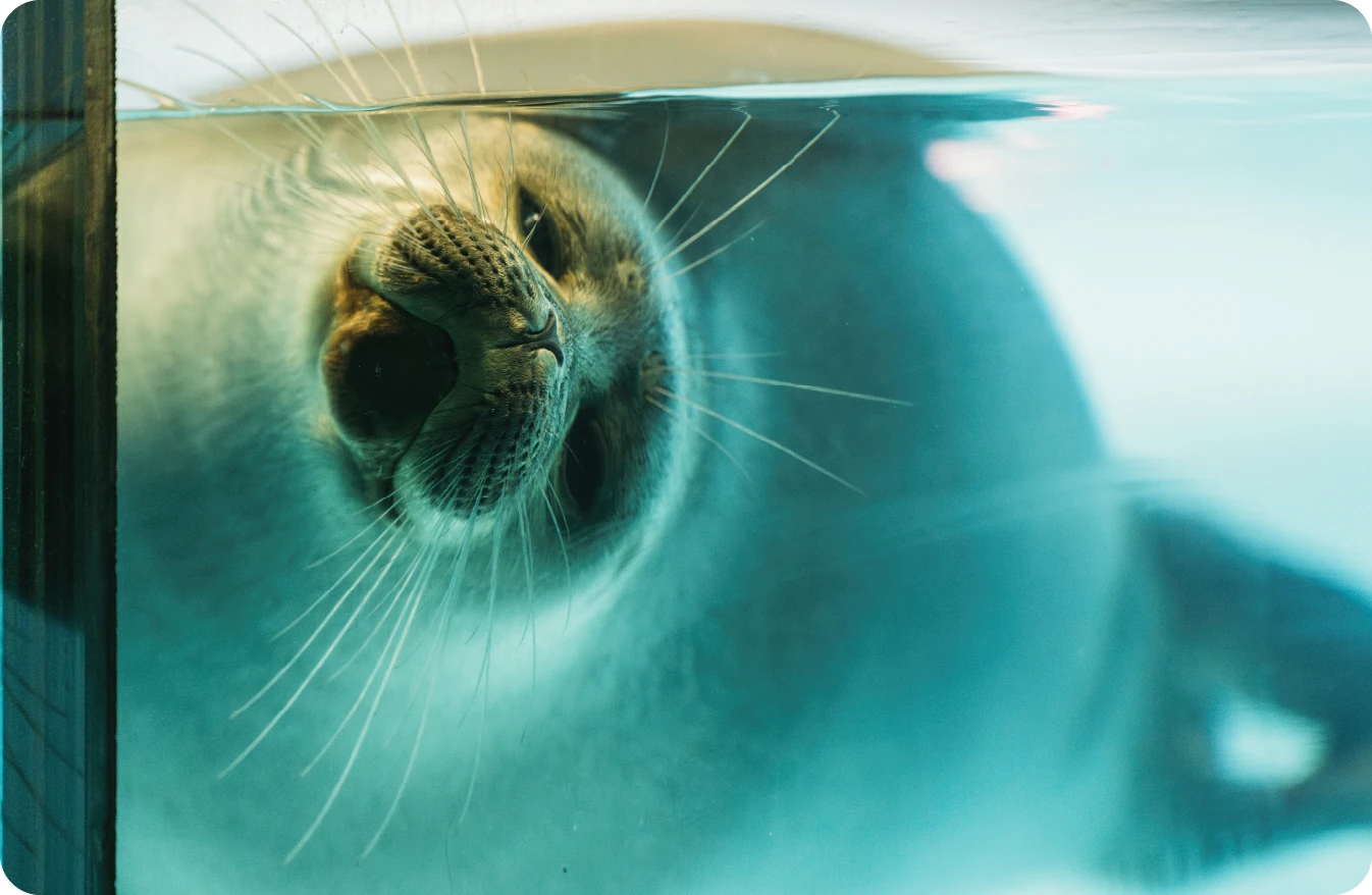 鳥羽水族館の写真