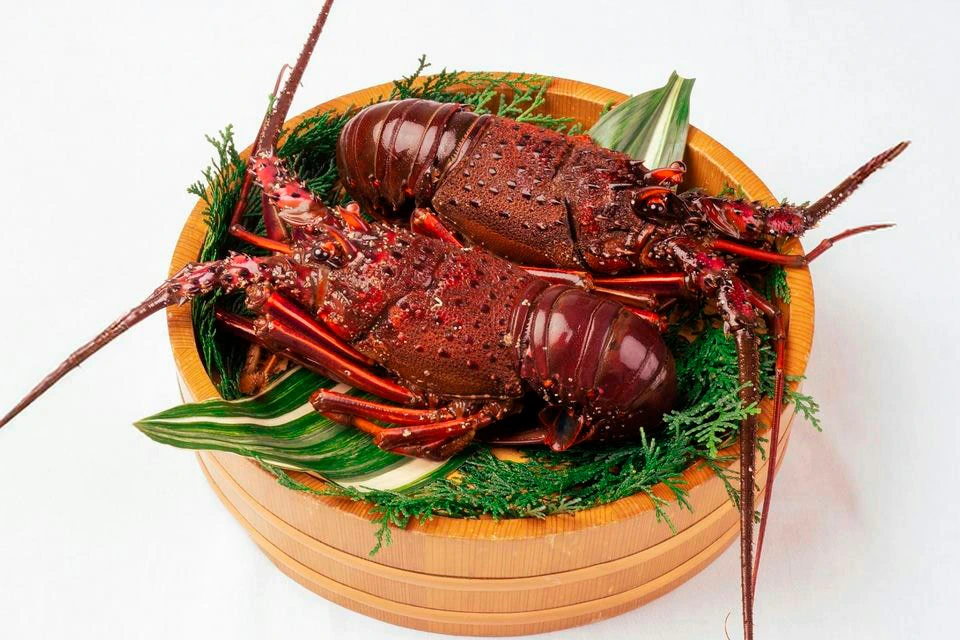 Ise-ebi lobster