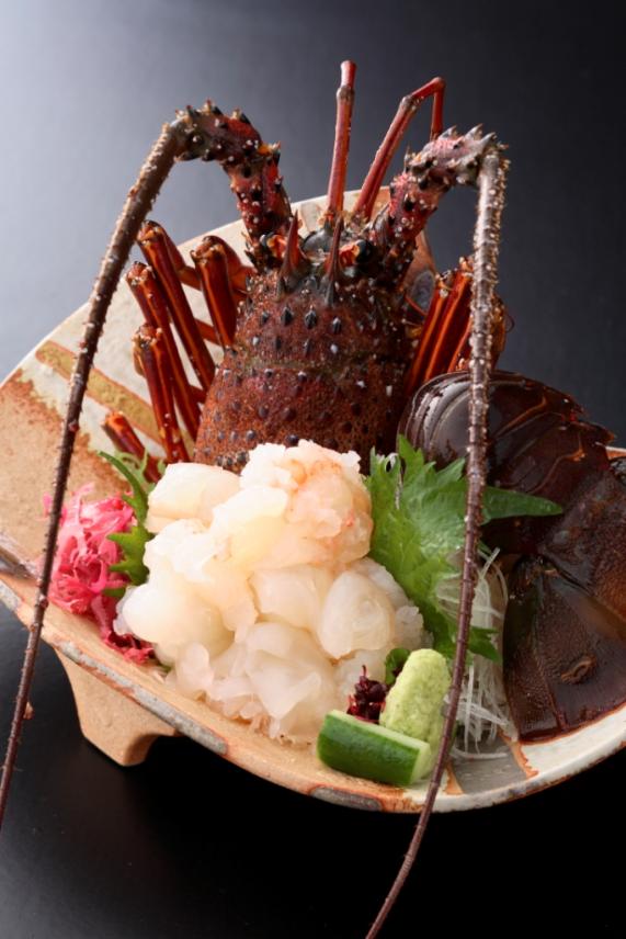 伊勢えびお造り (Ise spiny lobster Sashimi stayle)