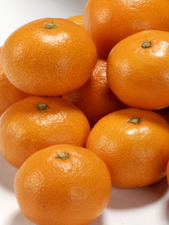 伊勢志摩【南伊勢町】のみかん (Mandarin Orange from Minamiise Town)