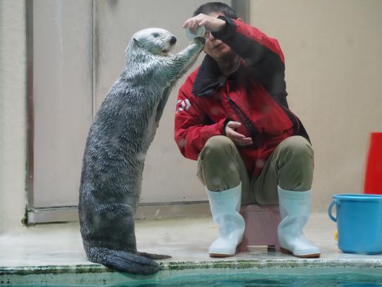 鳥羽水族館#12（Toba Aquarium#12）