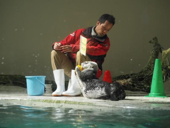 鳥羽水族館#13（Toba Aquarium#13）