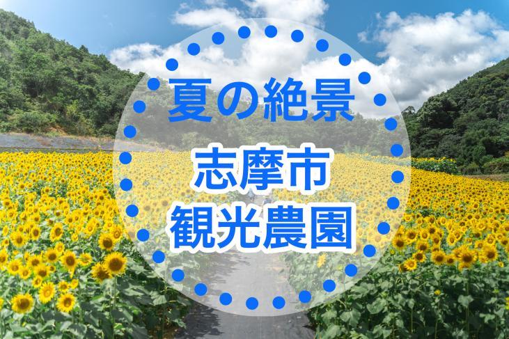 志摩市観光農園のひまわり畑