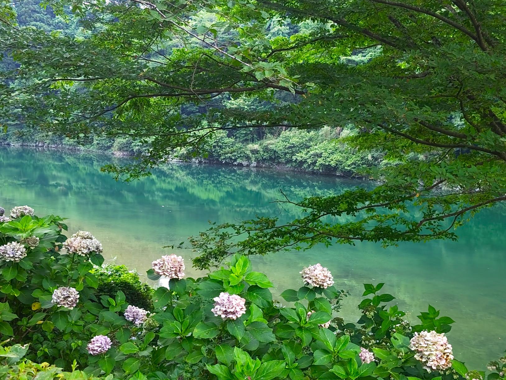 清流「櫛田川」の２つの表情を楽しめます！-2