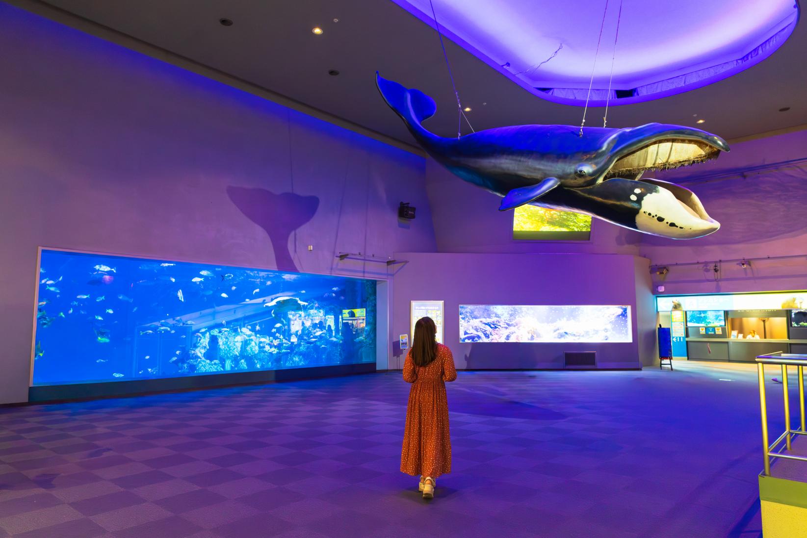 鳥羽水族館とは-1