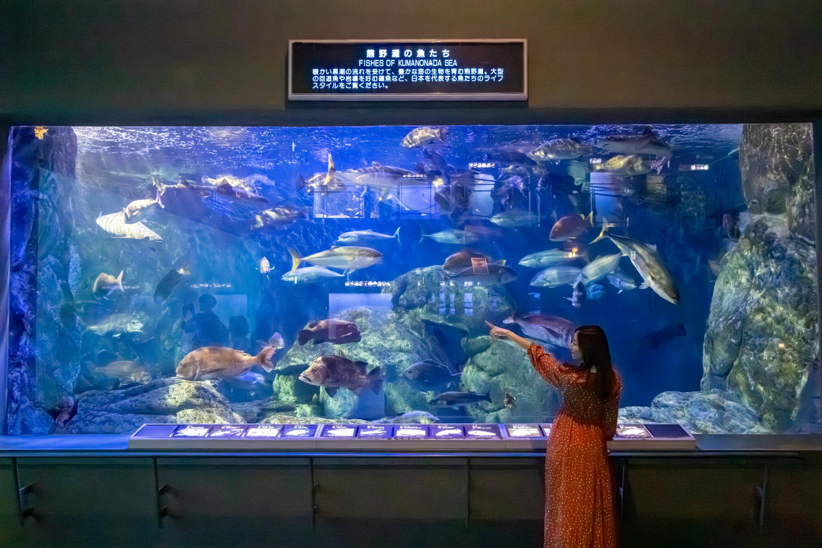 鳥羽水族館とは-0