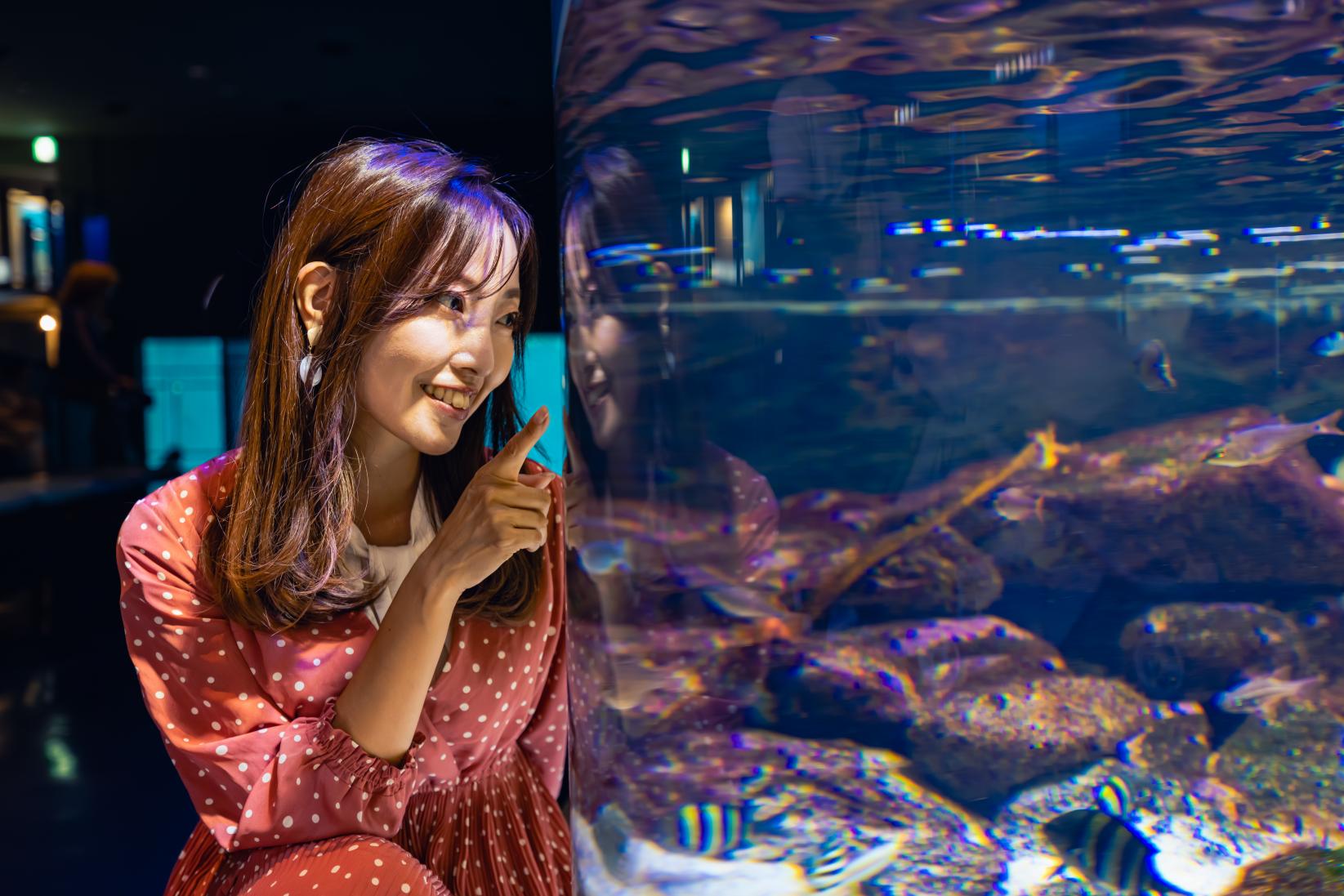 鳥羽水族館デート撮影スポットおすすめ4選-0