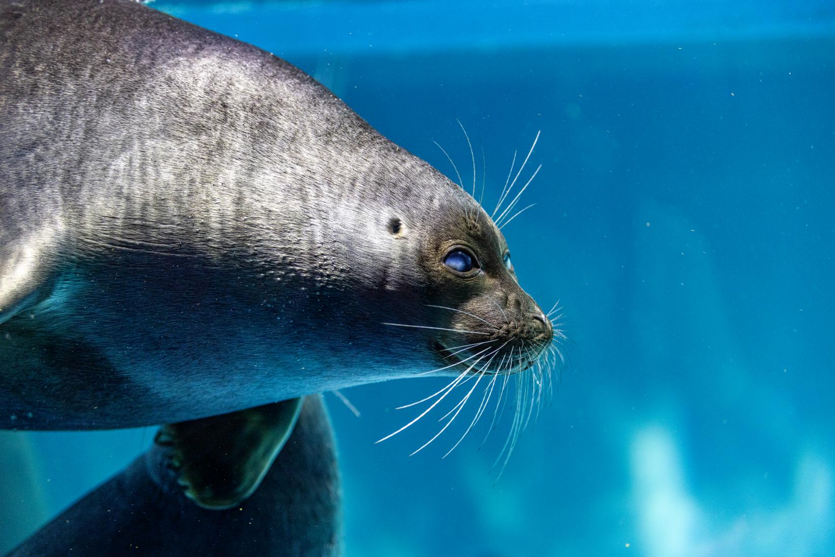 デートに人気！大人の来館者が8割の理由-0