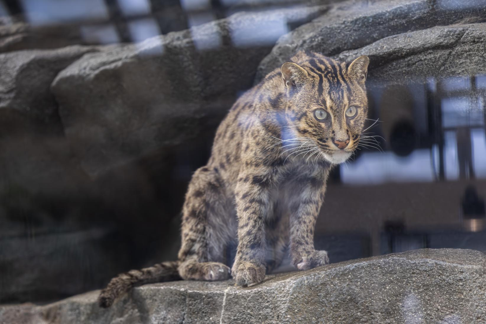 デートに人気！大人の来館者が8割の理由-1