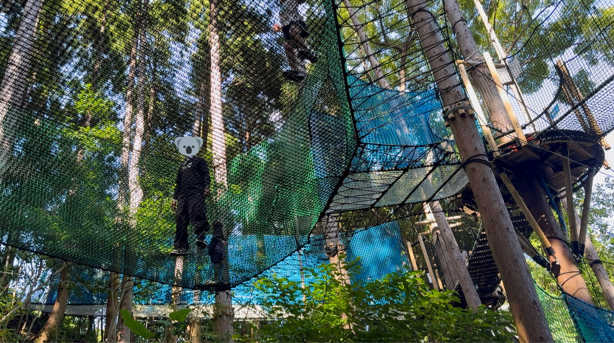 飛び跳ねて寝転べる！新感覚「森の空中ネット広場」-4