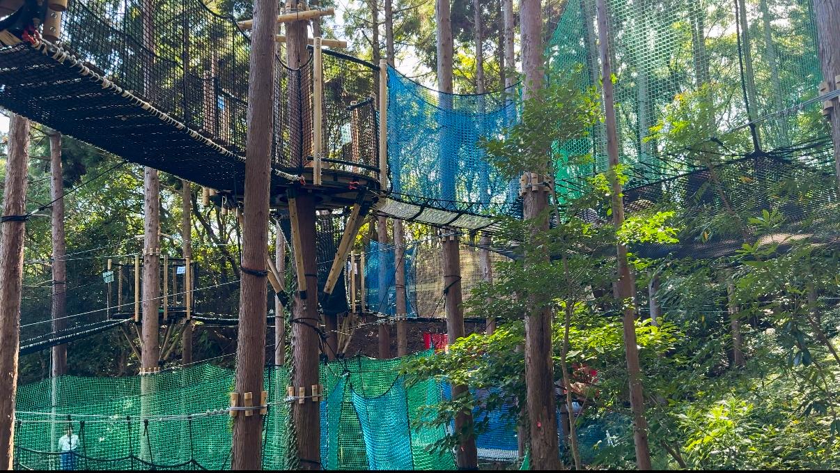 飛び跳ねて寝転べる！新感覚「森の空中ネット広場」-0