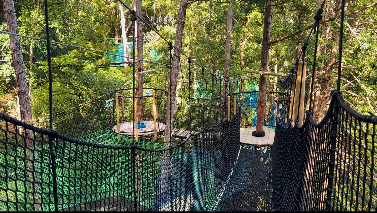 飛び跳ねて寝転べる！新感覚「森の空中ネット広場」-3
