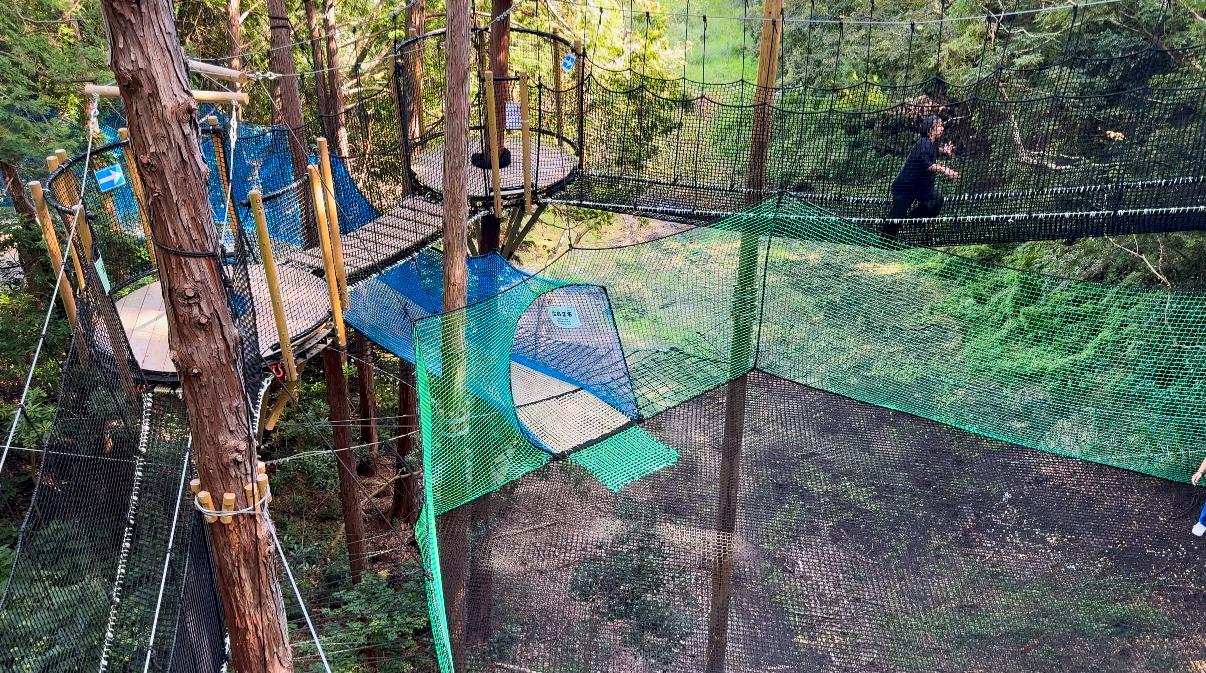 飛び跳ねて寝転べる！新感覚「森の空中ネット広場」-1