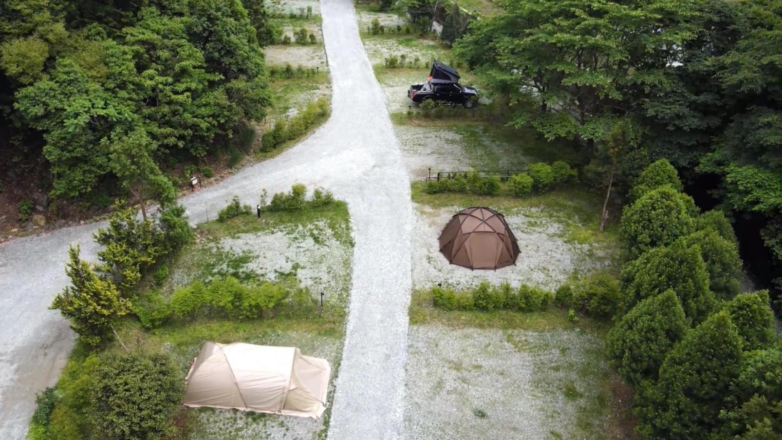 森林サイト（19サイト）-0