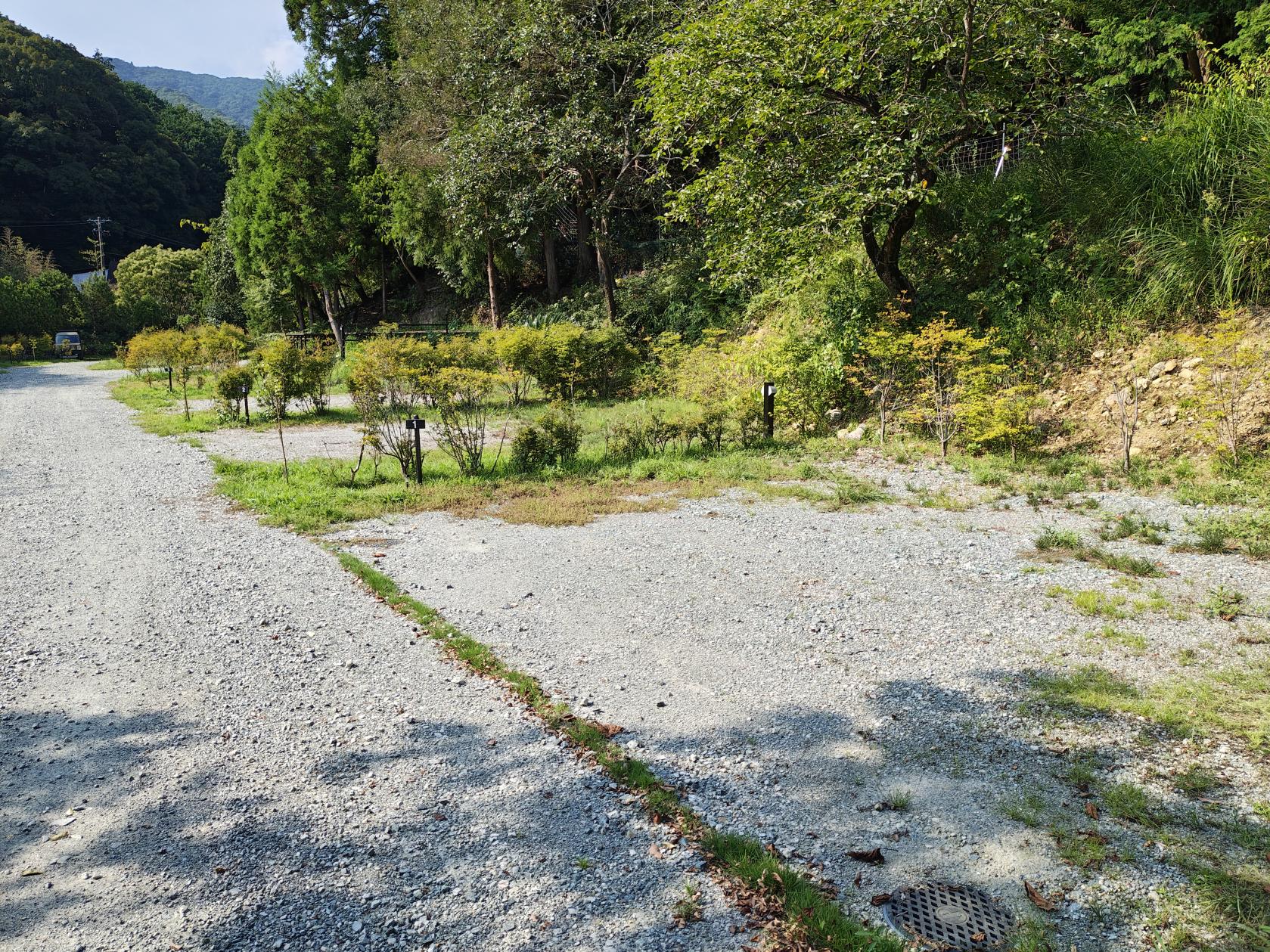 森林サイト（19サイト）-2