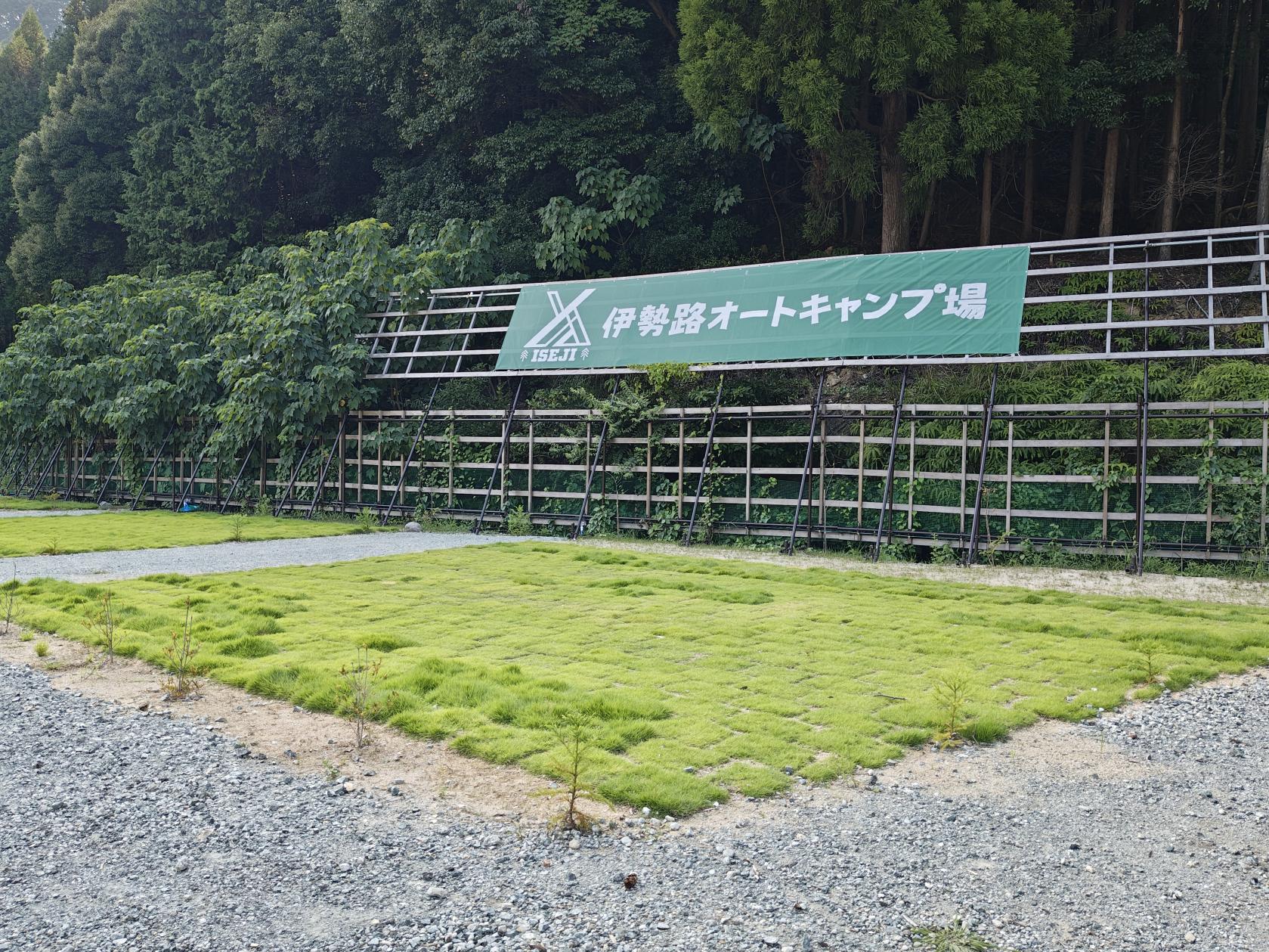 グリーングラスサイト（８サイト）-0