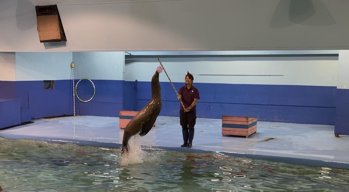 なぜ子連れに伊勢シーパラダイスがおすすめなの？-0