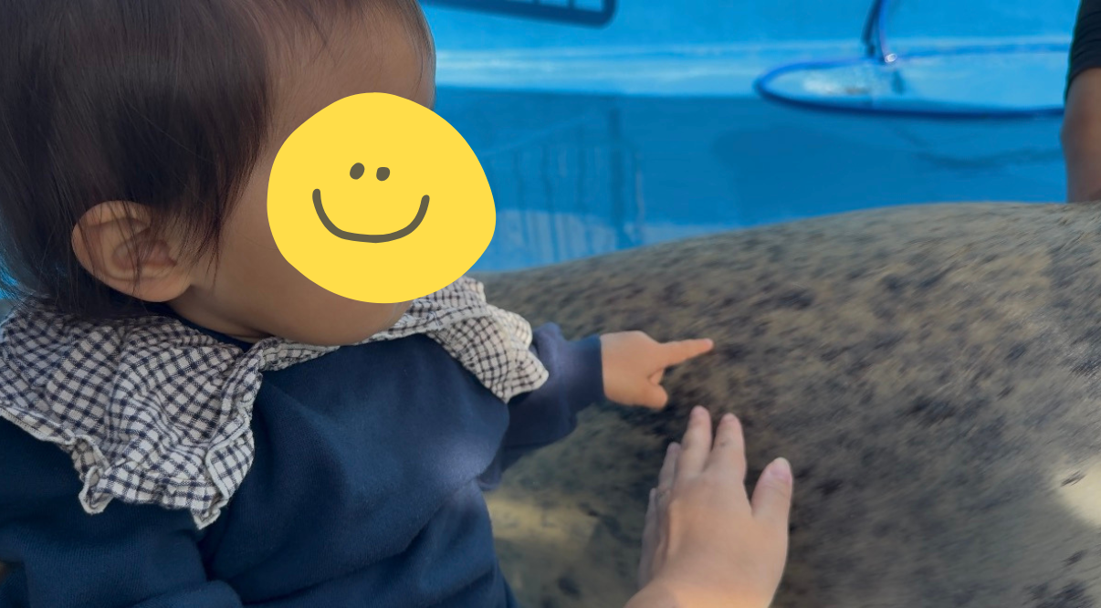 ①ゴマちゃん（ゴマフアザラシ）にタッチ-1