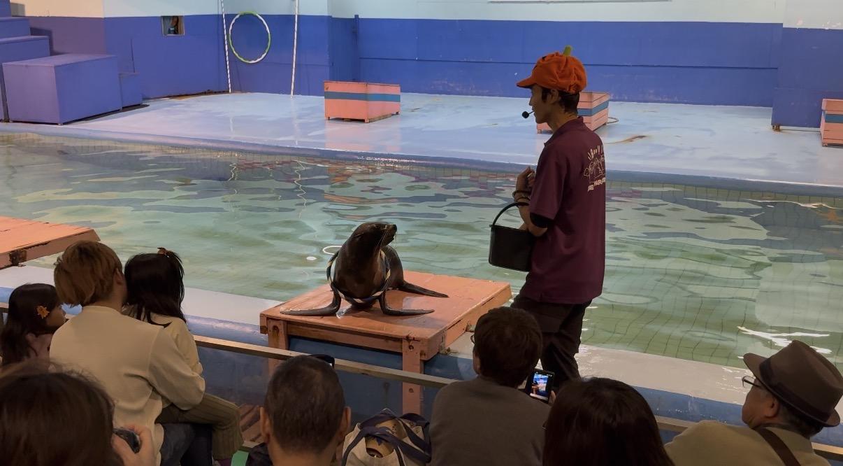 ②アシカお食事タイム-0