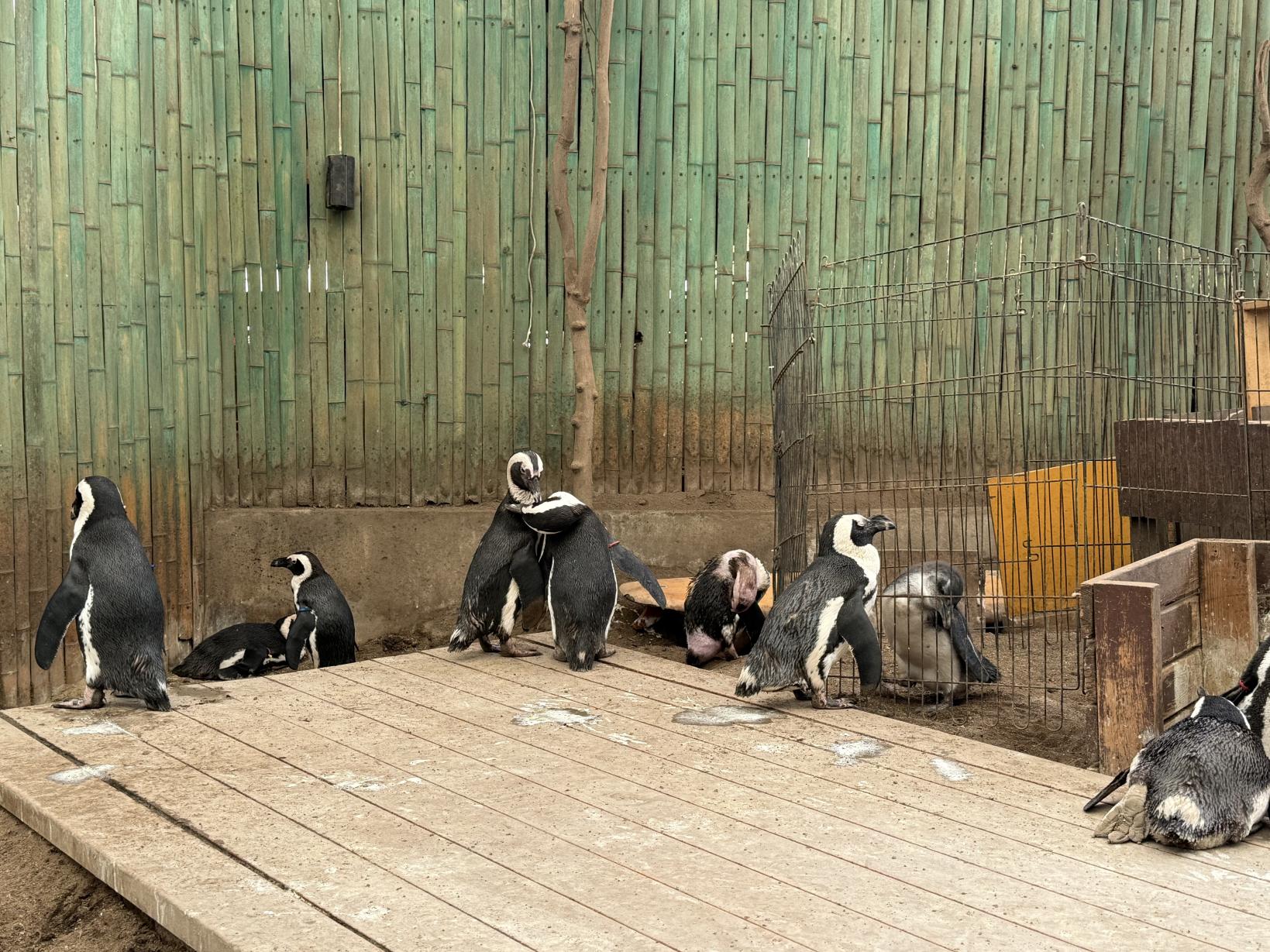 まとめ：「見る」より「感じる」！成長を実感できる水族館-0