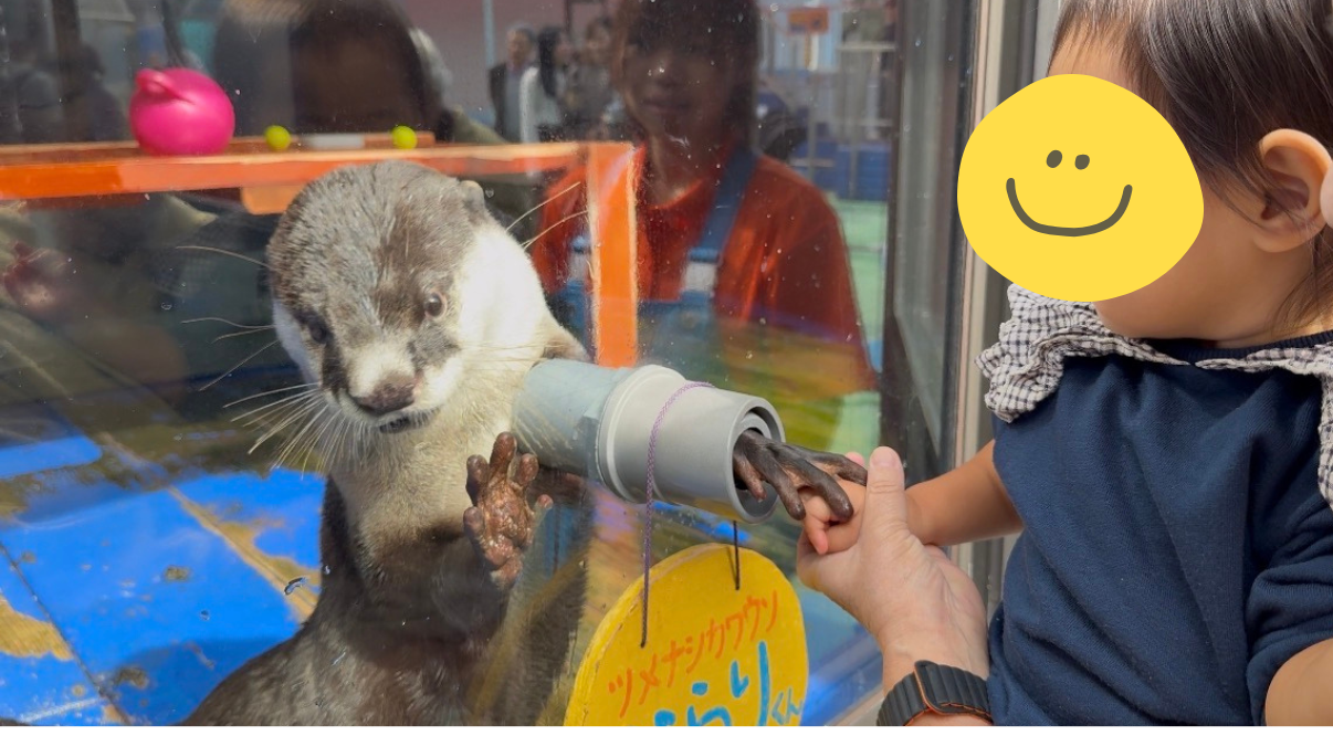 まとめ：「見る」より「感じる」！成長を実感できる水族館-1