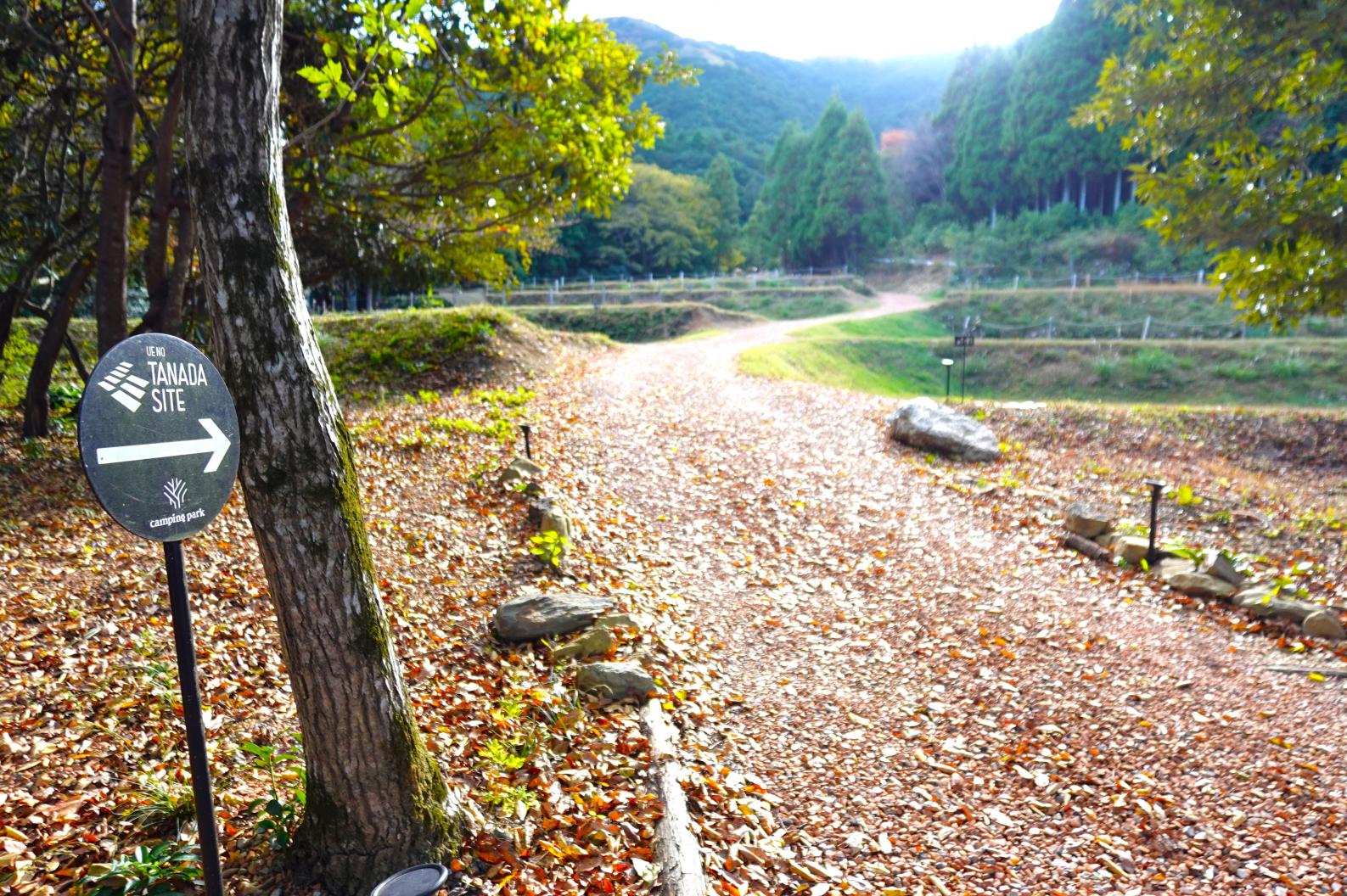 上の棚田サイト-1