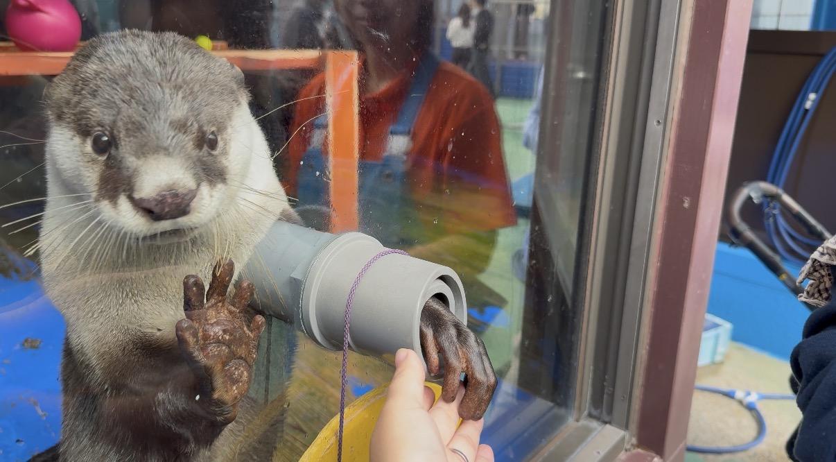 1. 魅力面：「見る」より「音」と「空気感」がスゴイ！-1