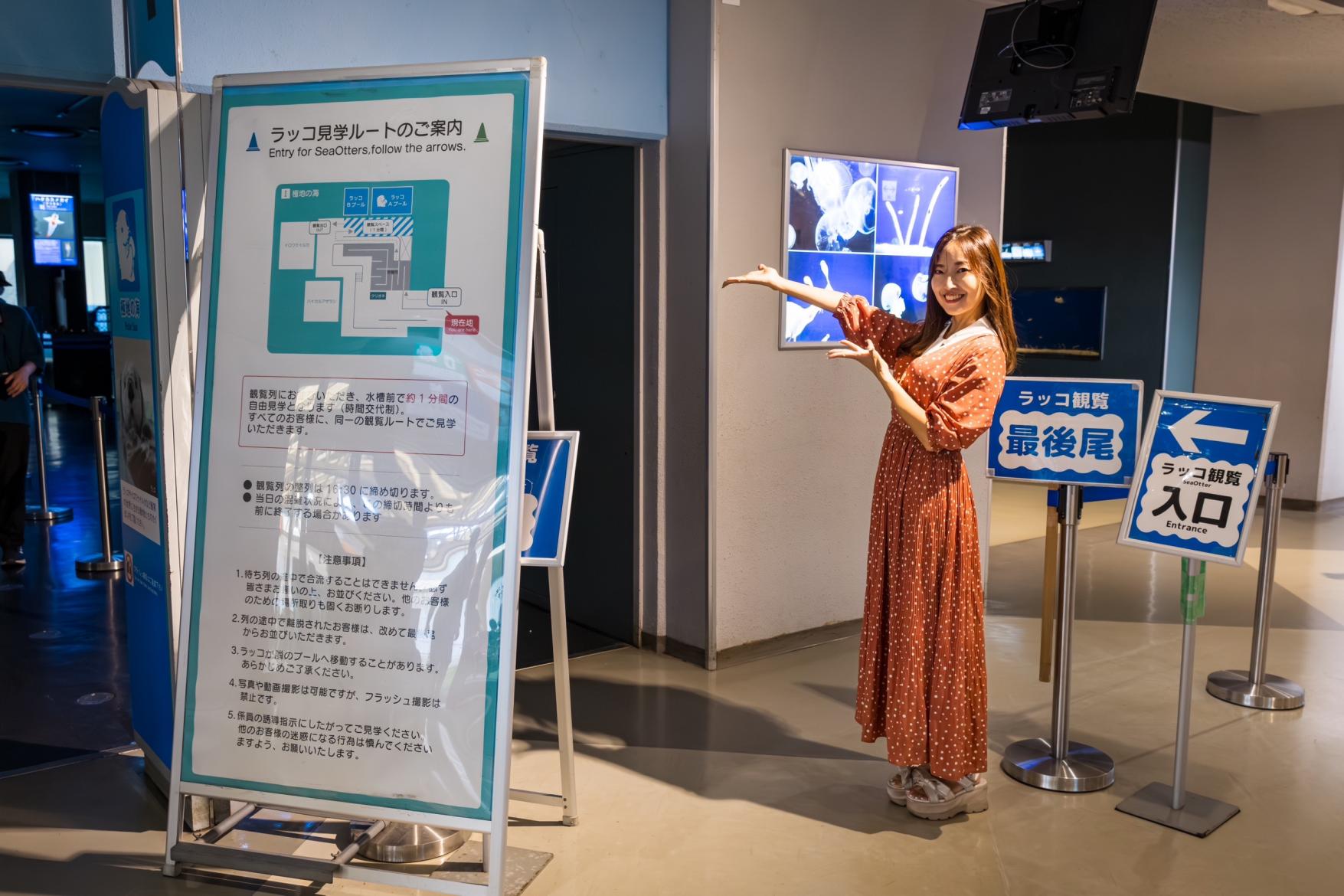 ラッコ観覧の基本ルール-0