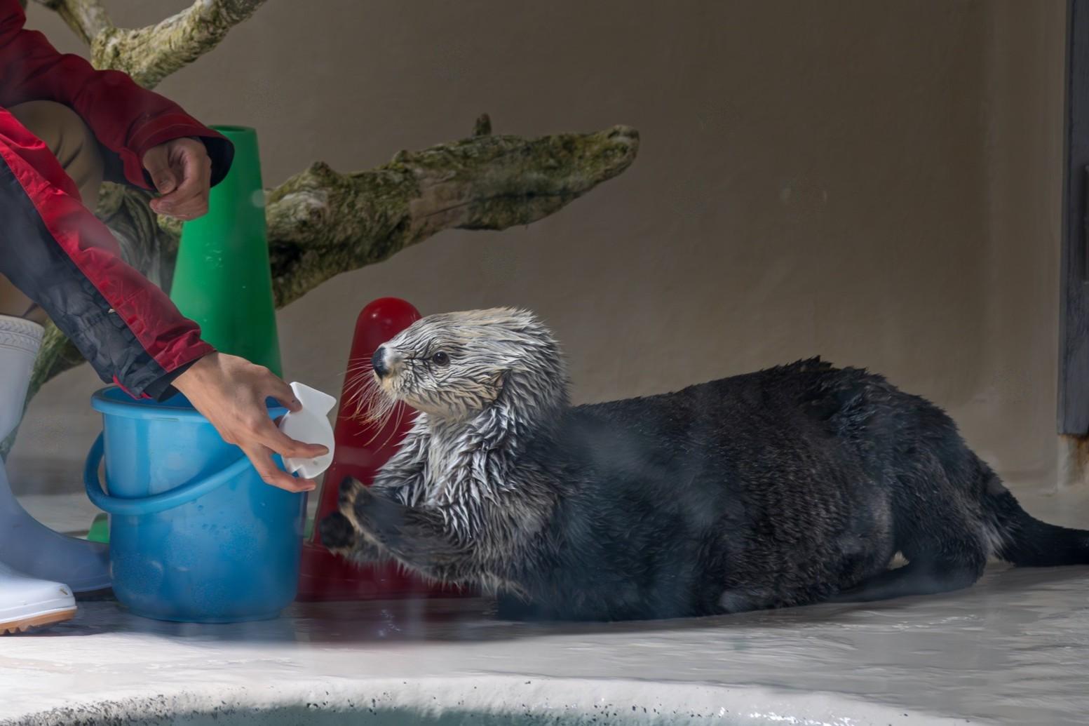 お食事タイムは最重要チェック項目-0