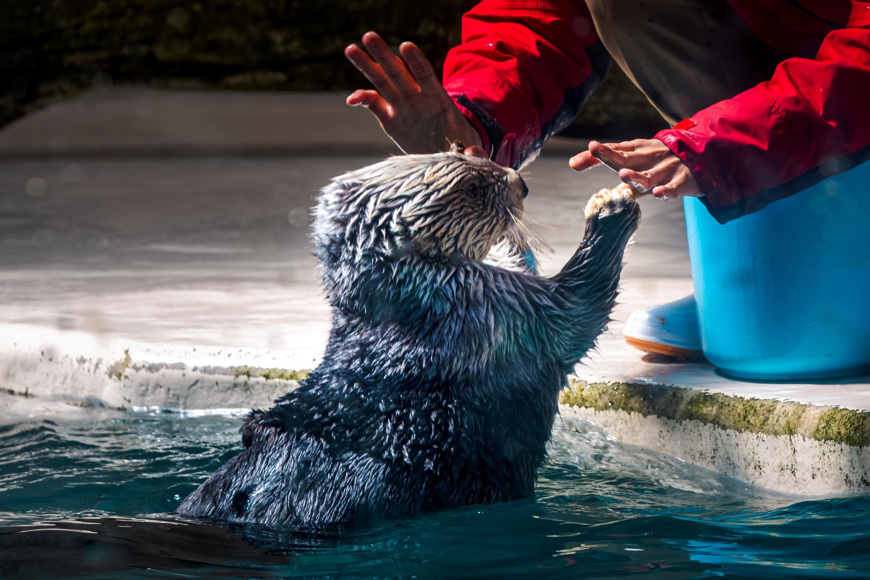 行列対策テクニック【実践編】-0