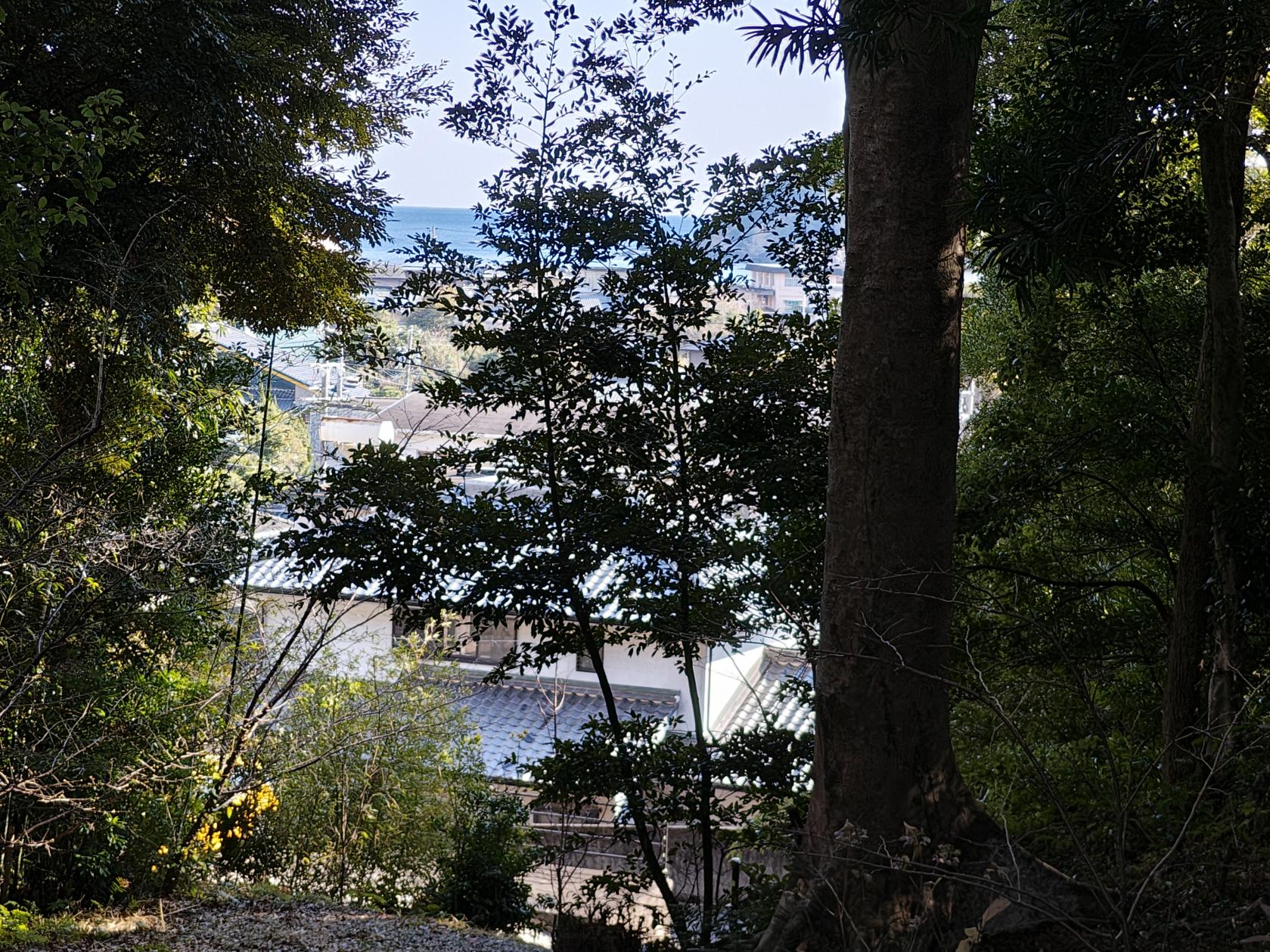 見晴台ならぬ「見放台」-1