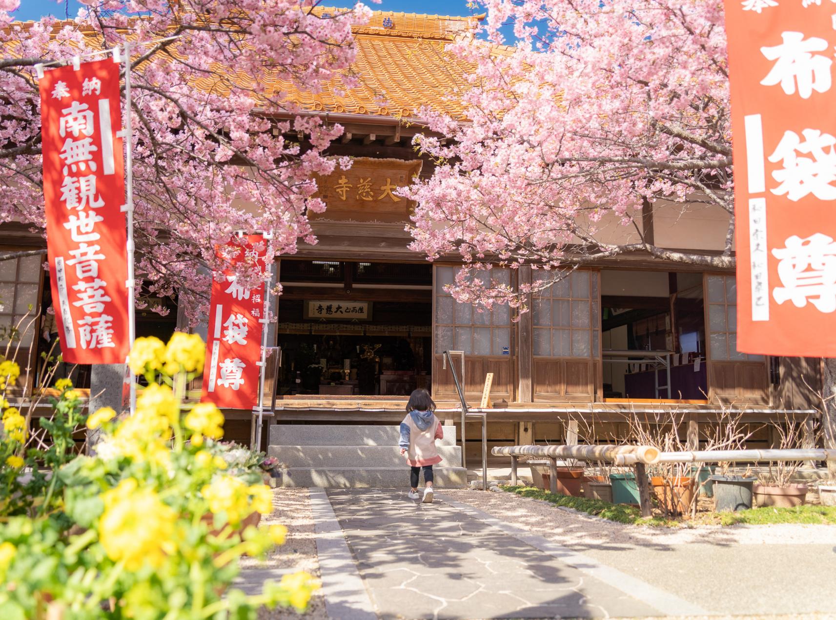 大慈寺（だいじじ）-0