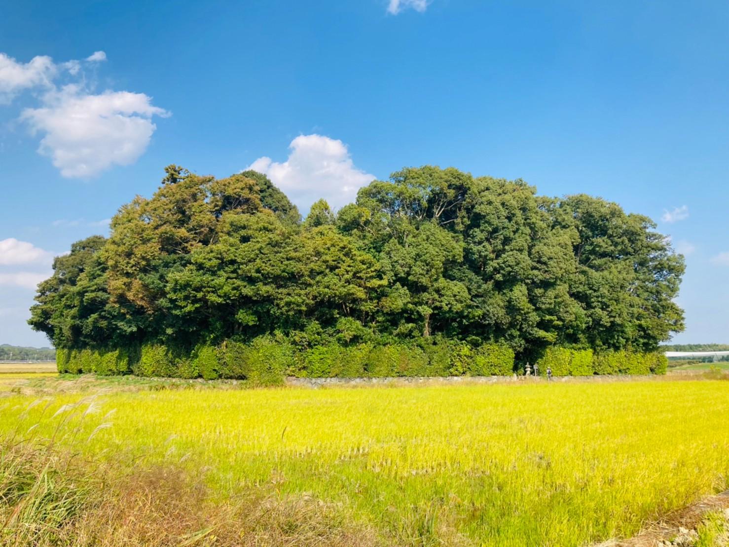 朽羅神社-0