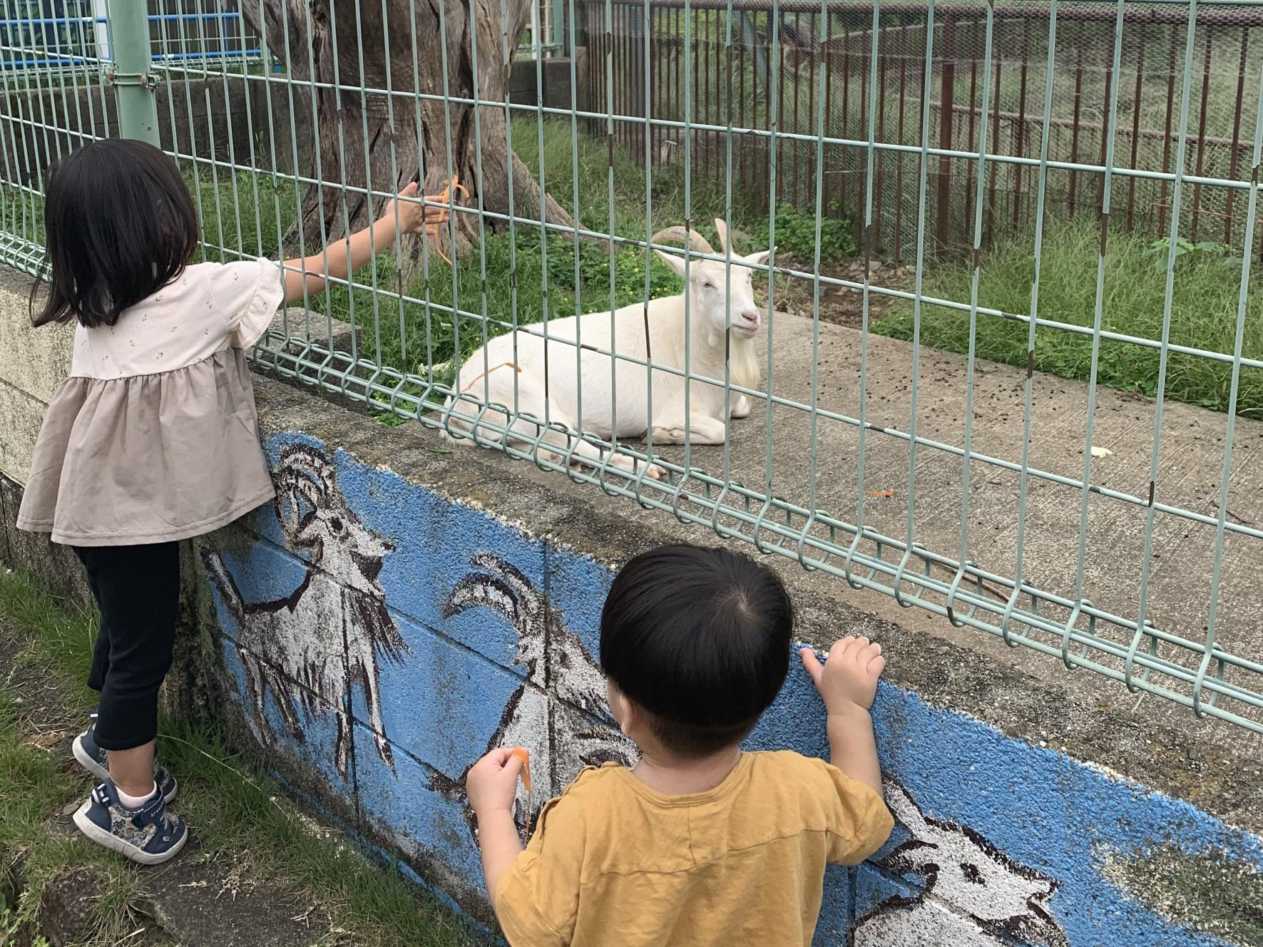 ガリバー公園－どうぶつひろば-0