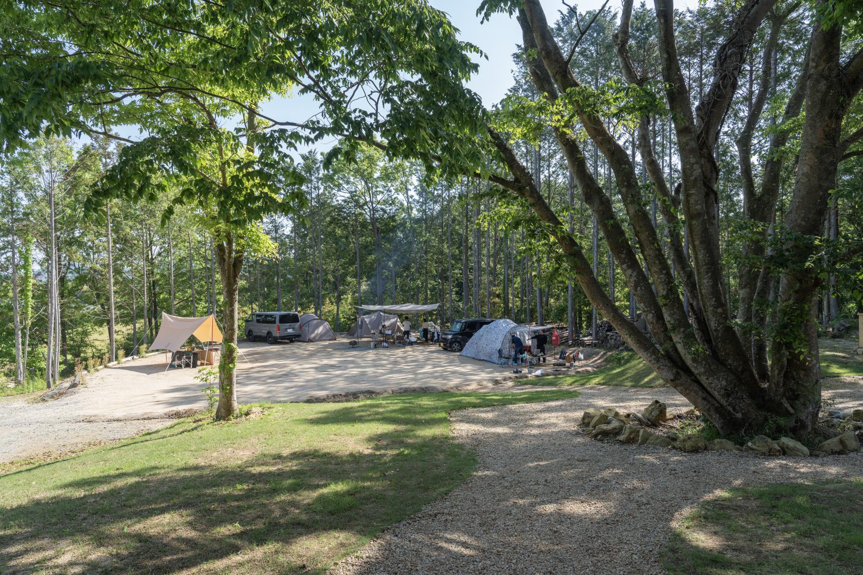 前の棚田サイト-1