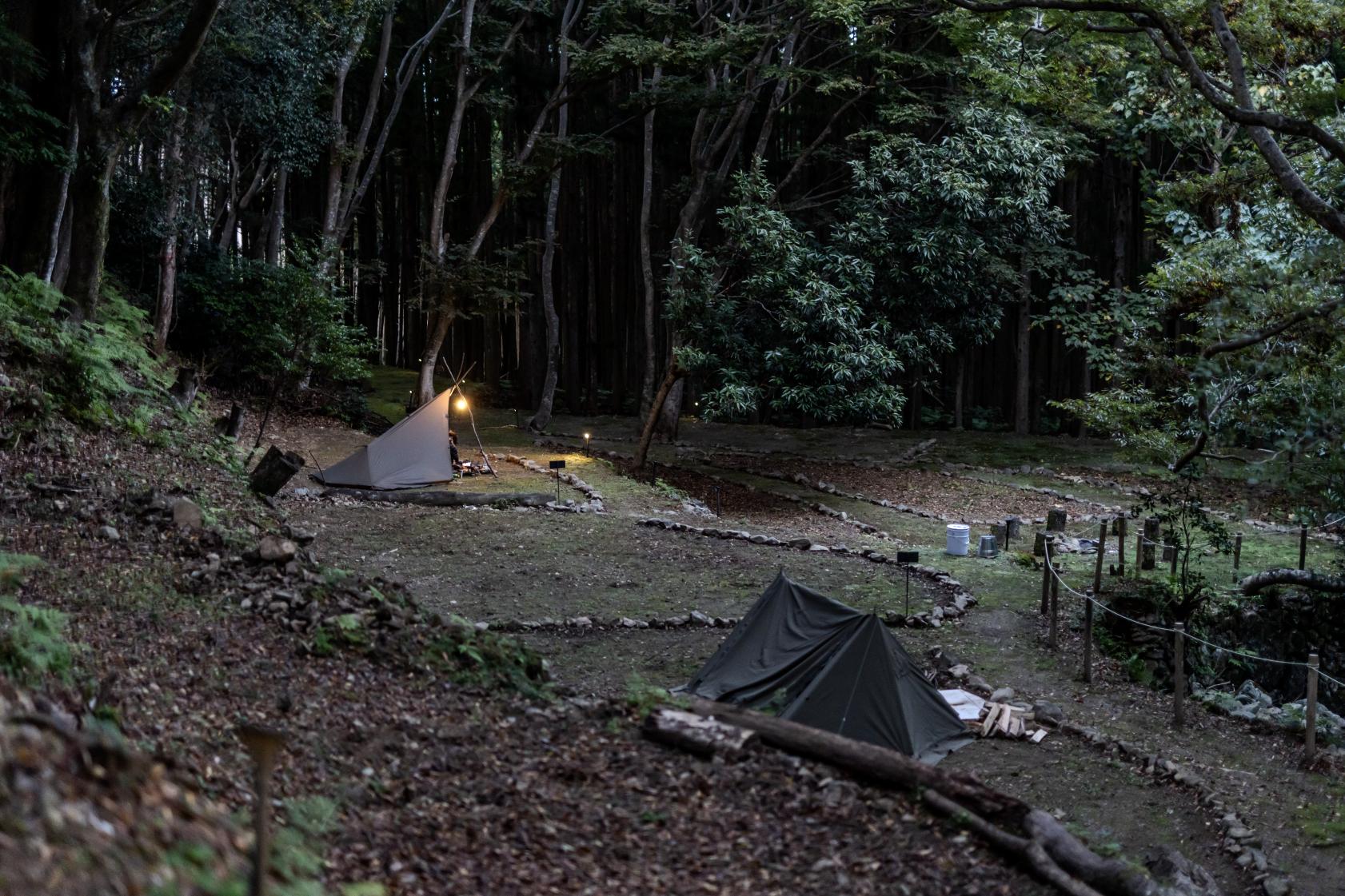 下の棚田サイト-2