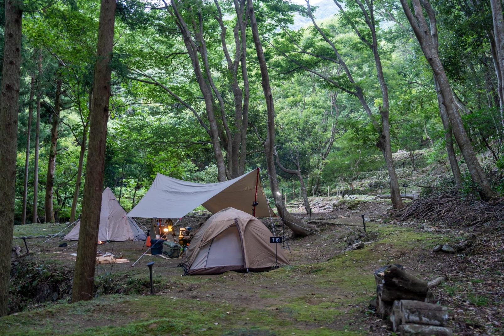 下の棚田サイト-0