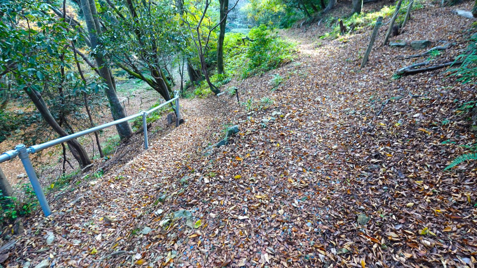 下の棚田サイト-5