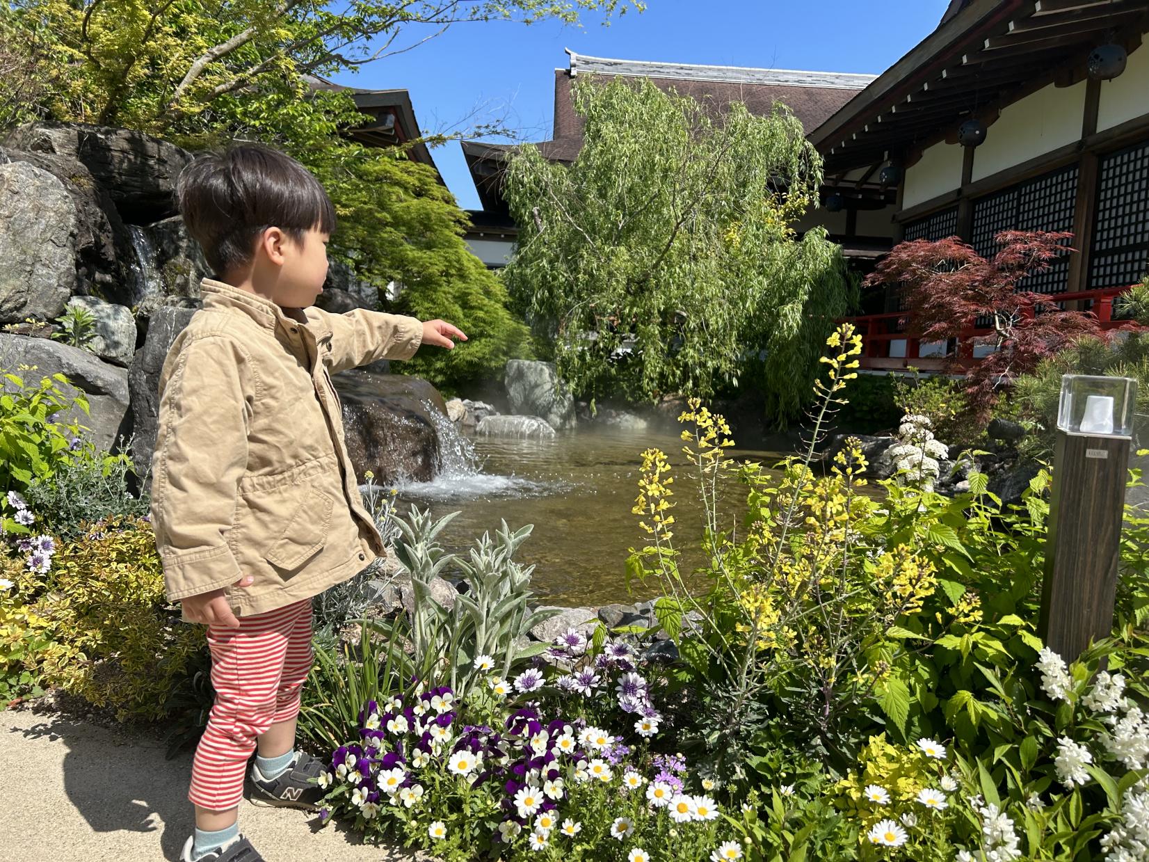 世界一の江戸庭園と日本一の園芸城下街を散策する-0