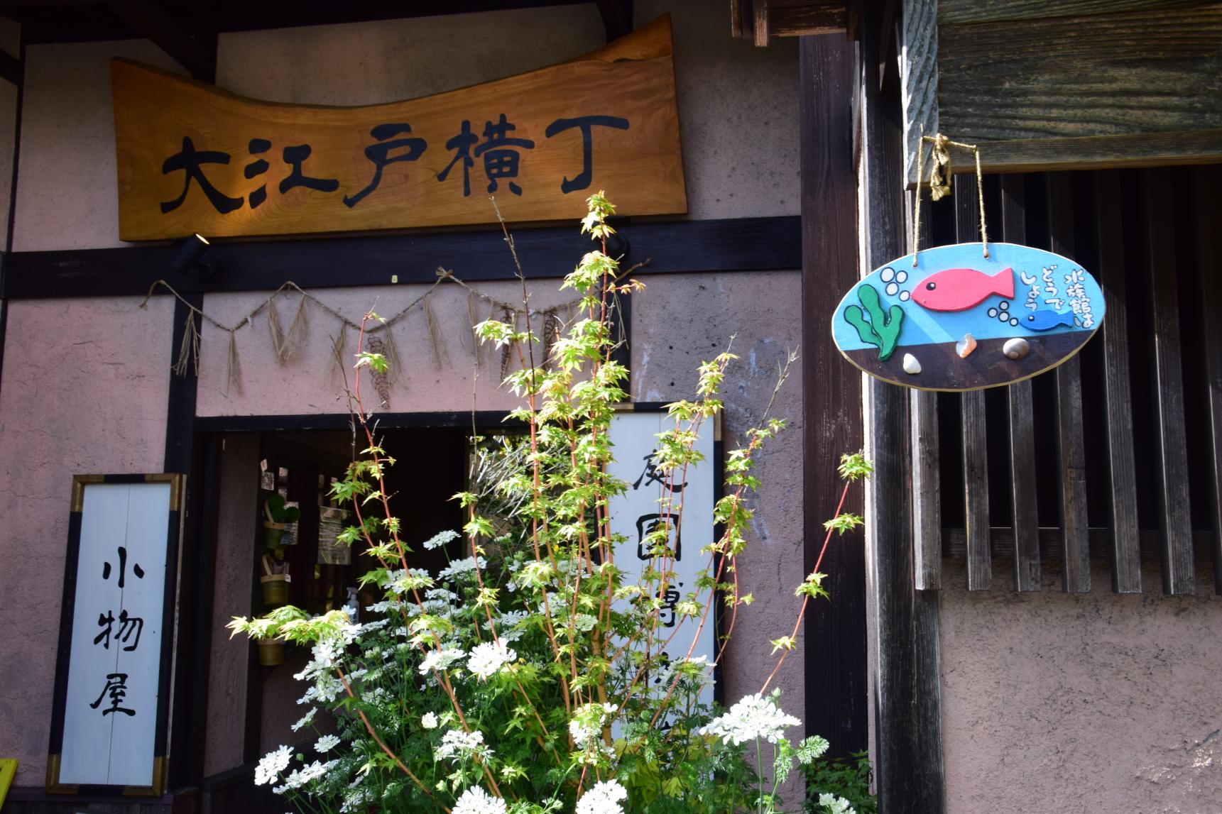 小さい子にオススメの庭園博物館（ミニ水族館）-1