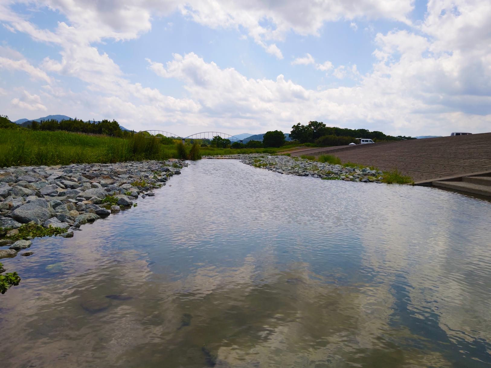 川遊びも楽しめる！お魚もいたよ！-1