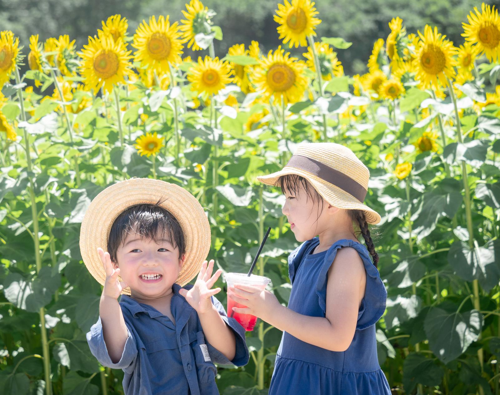 志摩市観光農園「夏の開園期間」-0