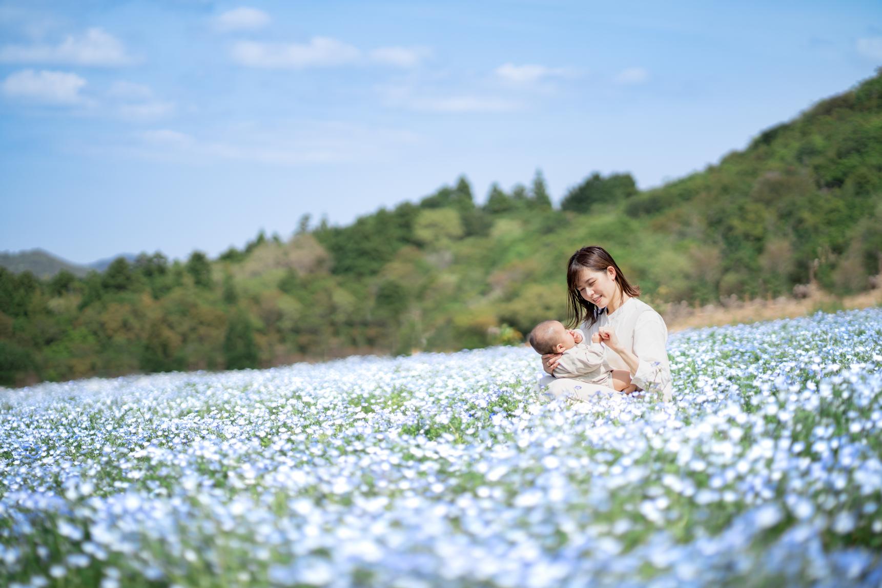 夏だけでなく、春も秋も絶景スポット-0