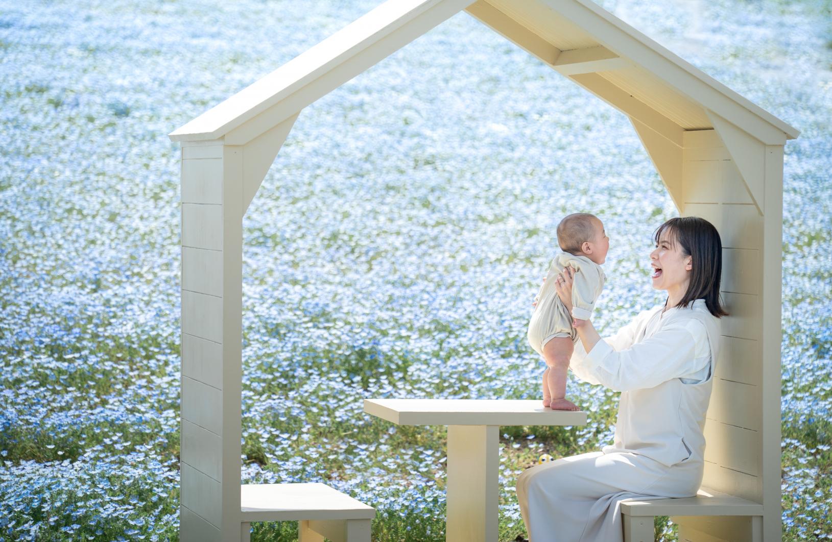 夏だけでなく、春も秋も絶景スポット-1