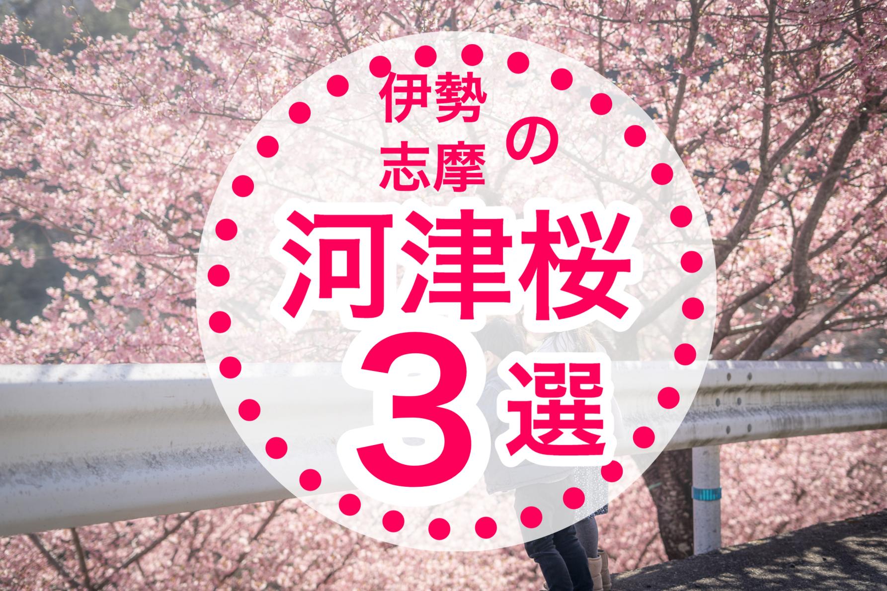 春を先取り！三重が誇る伊勢志摩の『河津桜スポット３選』！