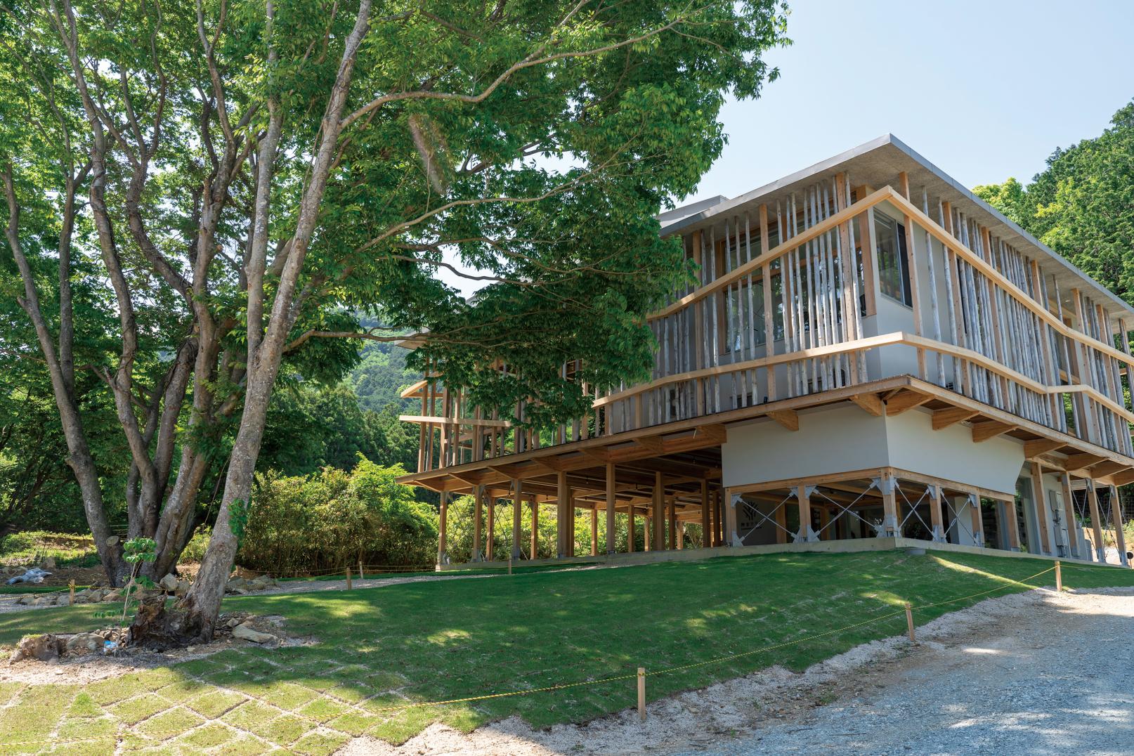 神岳テラス　本館