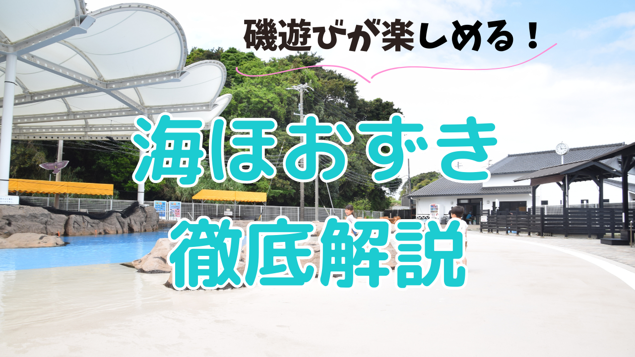 磯遊びができる！海デビュー前にオススメの志摩市にある海ほおずきの徹底解説